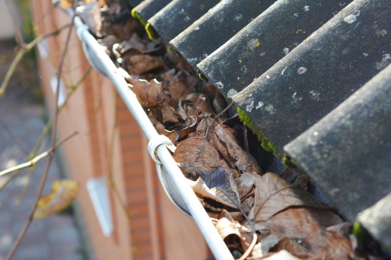 Clogged Gutter Causes